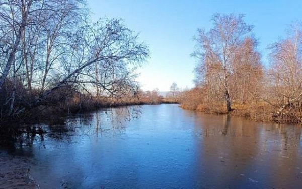 На Восточно-Сибирском свинокомплексе завершилась внутренняя проверка