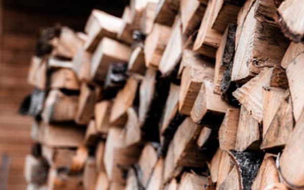 Лесники Бурятии помогут с дровами семьям мобилизованных