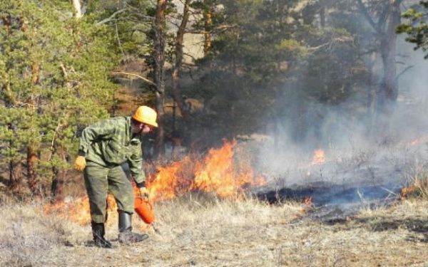С начала пожароопасного периода в лесах Улан-Удэ произошло два пожара