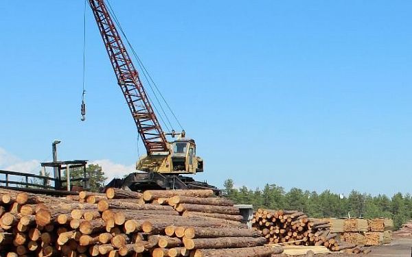 Контрабанду лесоматериалов почти на 3 млн рублей выявила Бурятская таможня