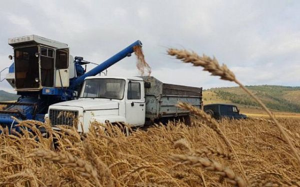 Глава Бурятии анонсировал удвоение объема финансирования производителям зерна