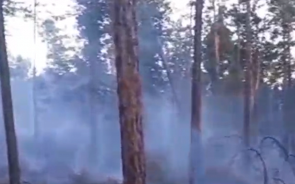 На севере Бурятии тушат лесной пожар