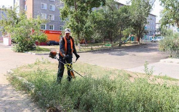 На 700 тысячах квадратных метрах коммунальные службы Улан-Удэ скосили траву