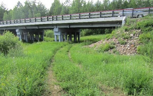 До конца 2024 года в двух регионах ДФО и Иркутской области планируют отремонтировать 9 мостов