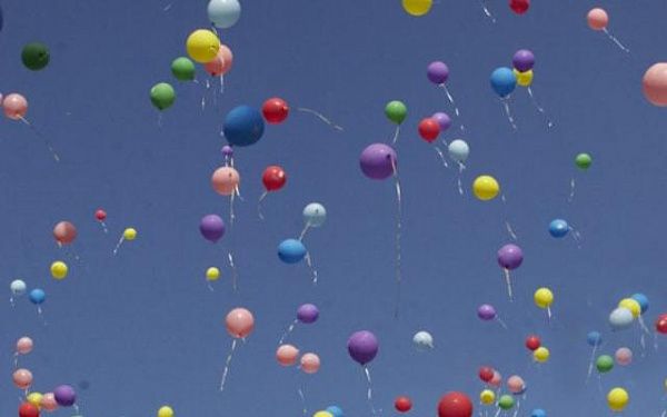 Врио министра природных ресурсов Бурятии высказалась против воздушных шариков