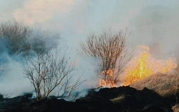 В двух районах Бурятии продолжается ликвидация лесных пожаров
