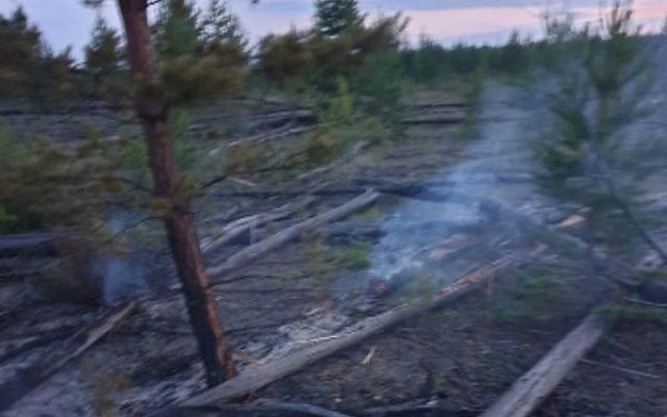 В Бурятии пожарные оперативно ликвидировали два лесных возгорания 