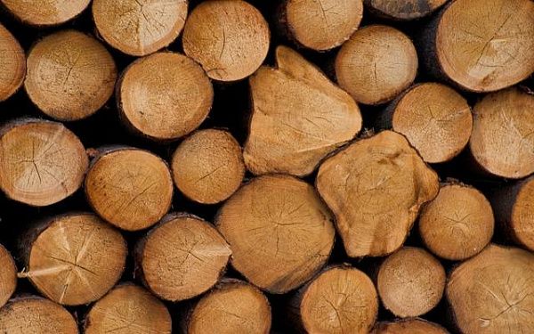 Природоохранная прокуратура намерена следить за исполнением закона о сплошных рубках леса на БАМе и Транссибе