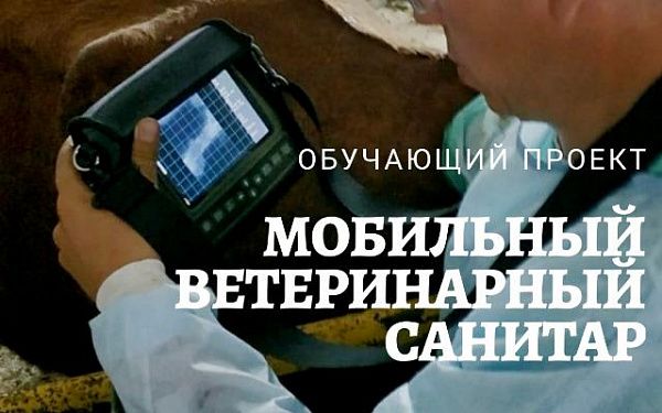 В Бурятии стартует новый проект «Мобильный ветеринарный санитар»