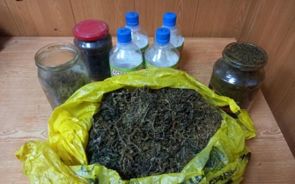 Жительница Бурятии по почте отправила наркотики племяннику в Хабаровский край