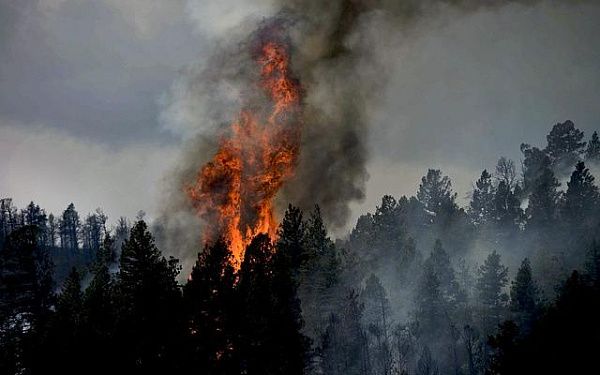 Более 240 пожаров произошло по вине жителей республики