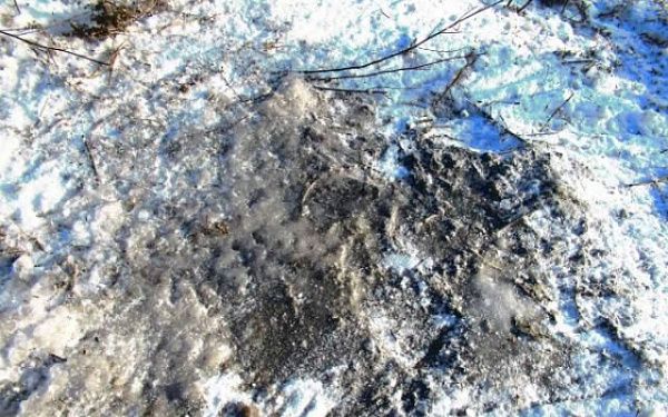 Жителя Бурятии оштрафовали на 40 тыс рублей за слив бытовых отходов в неположенном месте