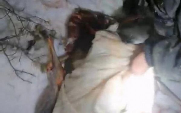 Двое жителей Иркутской области убили двух косуль в нацпарке Бурятии