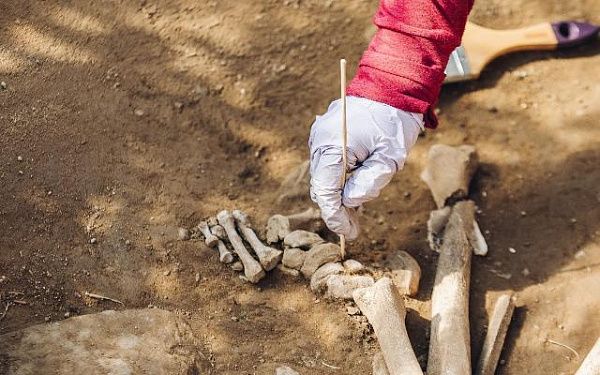 Ученые начали раскопки на месте древнего захоронения, найденного на частном приусадебном участке в Улан-Удэ