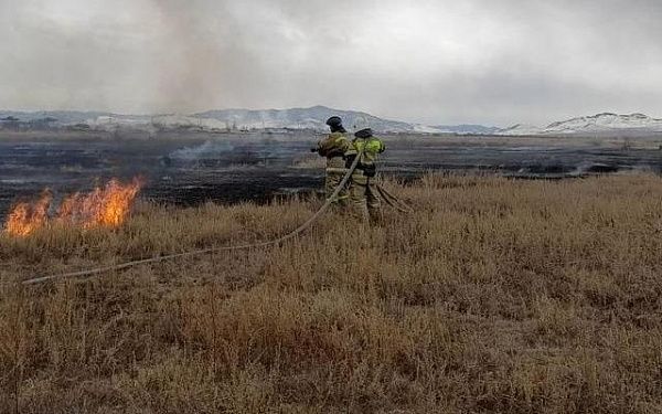В районе Бурятии нашли поджигателя сухой травы 