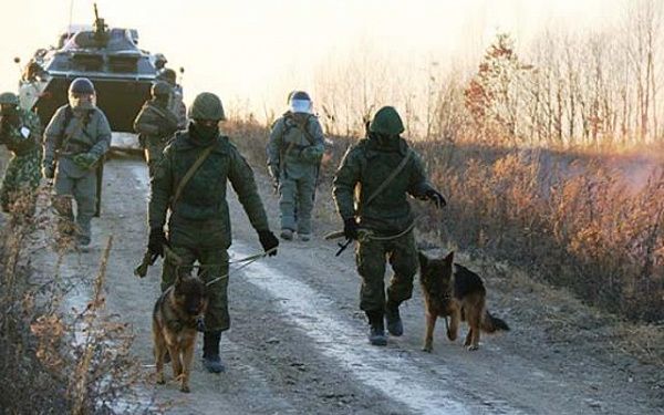 Участников спецоперации на Украине признают ветеранами боевых действий