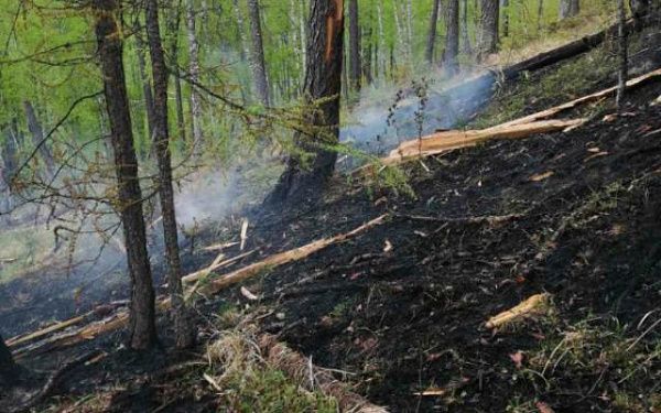 В Бурятии продолжается тушение лесного пожара в Забайкальском нацпарке