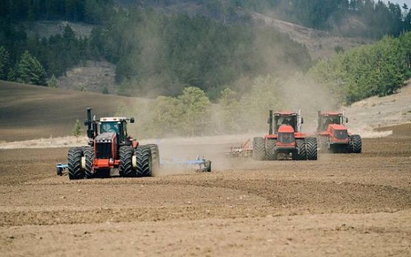 Производителей зерна в Бурятии поддержат дополнительной субсидией в 10,4 млн рублей
