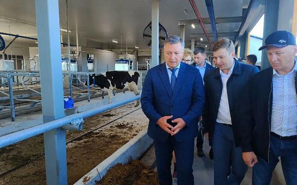 В Иркутской области открыли первую роботизированную молочную ферму