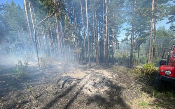 На севере Бурятии оперативно потушили два лесных пожара