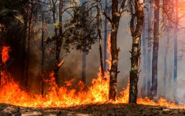 В Бурятии в первом квартале 2023 года зафиксирован 31 пожар 