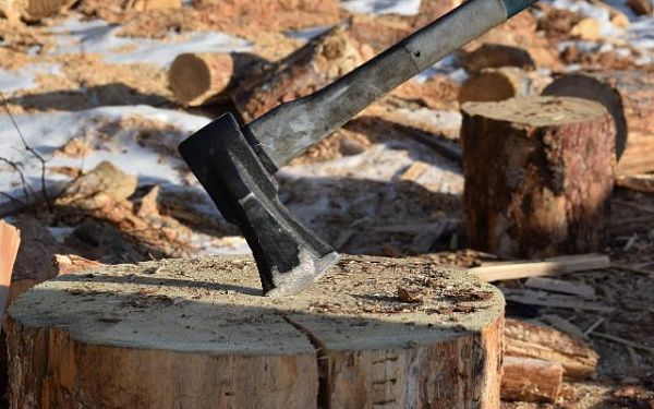 Жители Бурятии могут узнать о дровах в администрации района