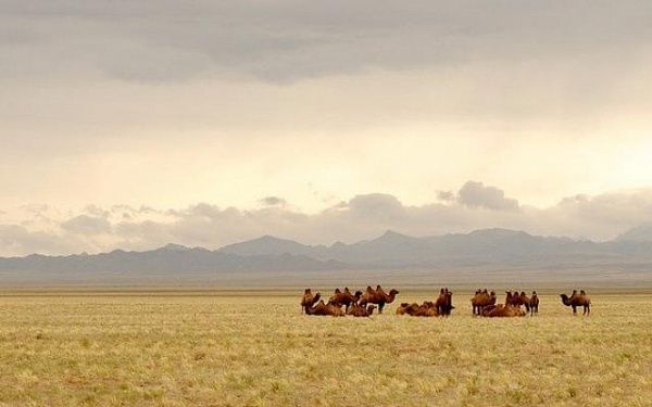 В Бурятии прогнозируют рост въезжающих в Монголию