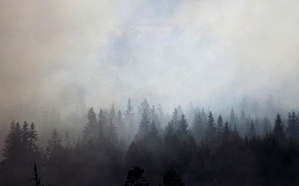Дым в республике связан с лесными пожарами