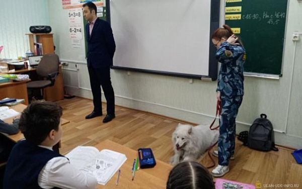 В школах и детсадах в мкрн Заречный и Степной кинолог проводит лекцию о правильном обращении с собаками