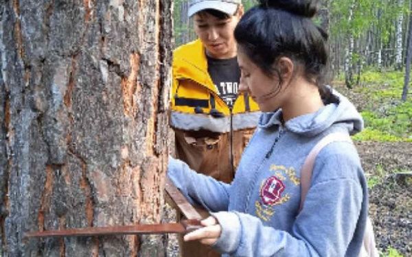 В районе Бурятии юные лесники научились измерять деревья