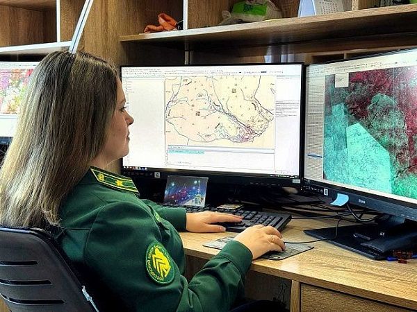 Сотрудники филиала Рослесозащиты начали подготовку к дистанционным обследованиям лесов Бурятии и Якутии в 2026 году
