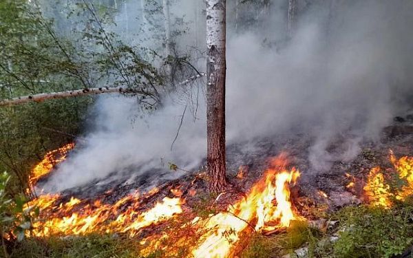 В Бурятии тушат сложный грозовой пожар