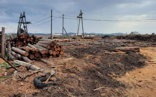 В Кижингинском районе правоохранителями пресечен факт незаконного приобретения древесины