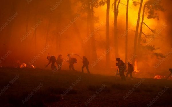 Более 200 человек сражались с огнём в лесах Бурятии 