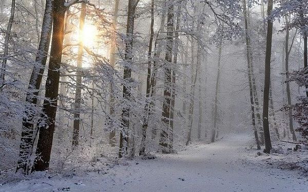 Метеорологический прогноз на 9 февраля