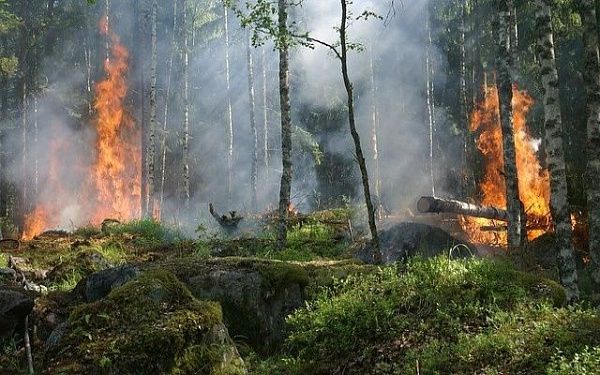 В Баргузинском районе продолжается борьба с лесными пожарами на площади более полутора тысяч гектаров