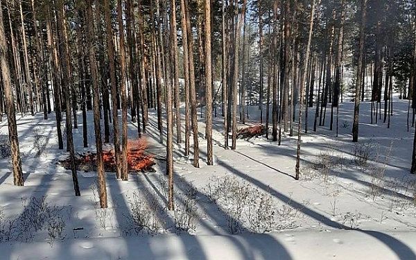 Городские леса Улан-Удэ готовятся к пожароопасному периоду 2026 года