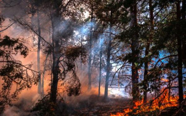 В лесах Бурятии тушат четыре пожара