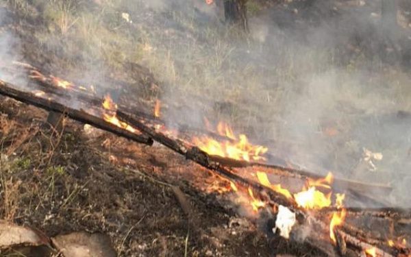 В пригороде Улан-Удэ тушили лесной пожар