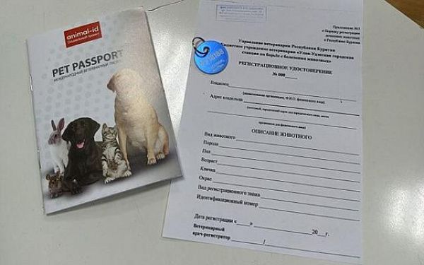 Дмитрий Швецов: «Нужна идентификация всех домашних животных»