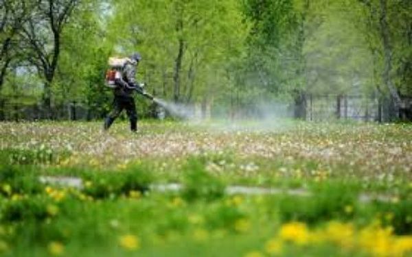 Улан-удэнцев попросили воздержаться от походов в парки