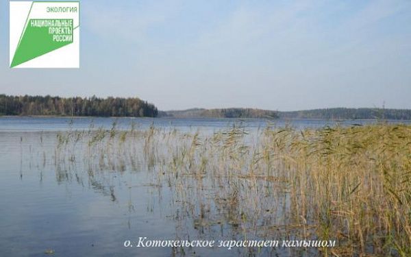 Госэкспертиза рассматривает проект улучшения экологического состояния озера Котокельское
