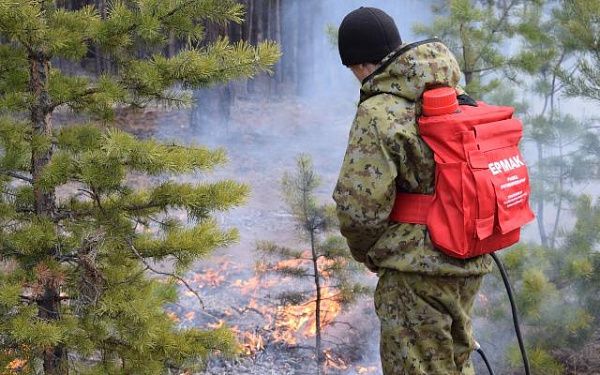 В 13 лесничествах Бурятии закрыт пожароопасный сезон