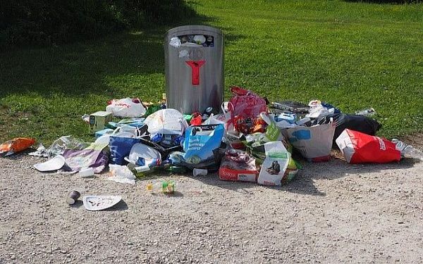 Прокуратура не одобрила новое постановление о раздельном сборе отходов на территории республики