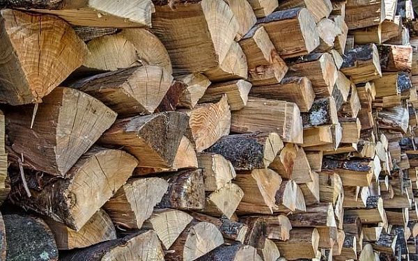 Администрация Улан-Удэ ищет заготовителей дров