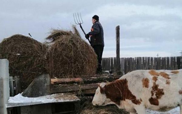 Жители района Бурятии смогли трудоустроиться в родном селе