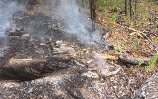 В Бурятии от грозы возникло 8 лесных пожаров