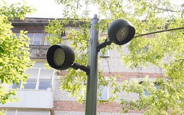 В Улан-Удэ ночной сквер освещают "вишенки"