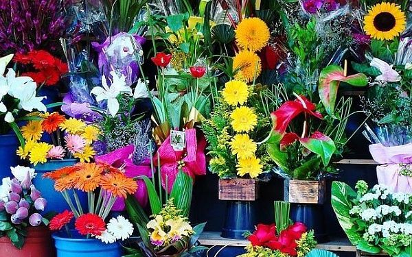 В Улан-Удэ оштрафовали предпринимателя за цветы из Сочи 