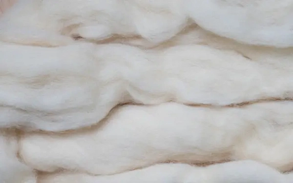 Овцевод отдал в дар более 550 кг войлока для пошива теплых вещей воинам Бурятии